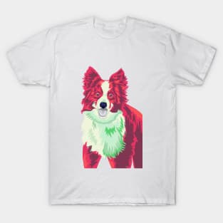 A splash of colour- Border Collie edition T-Shirt